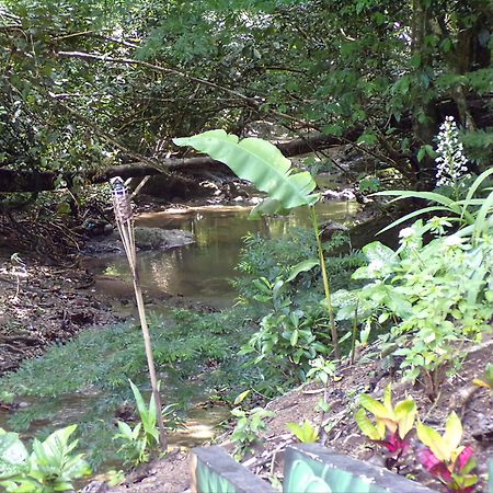Riverside Villas Vườn quốc gia Vườn quốc gia Manuel Antonio Ngoại thất bức ảnh