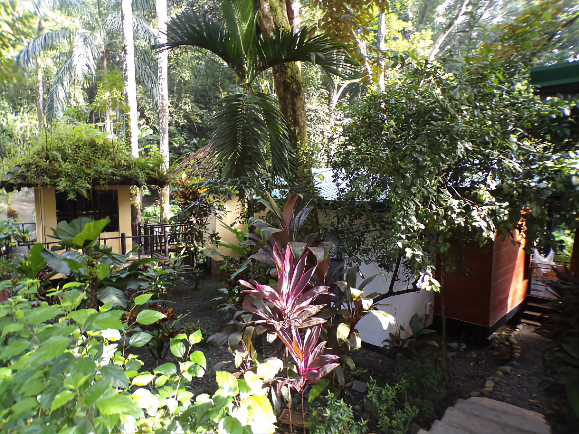 Riverside Villas Vườn quốc gia Vườn quốc gia Manuel Antonio Ngoại thất bức ảnh