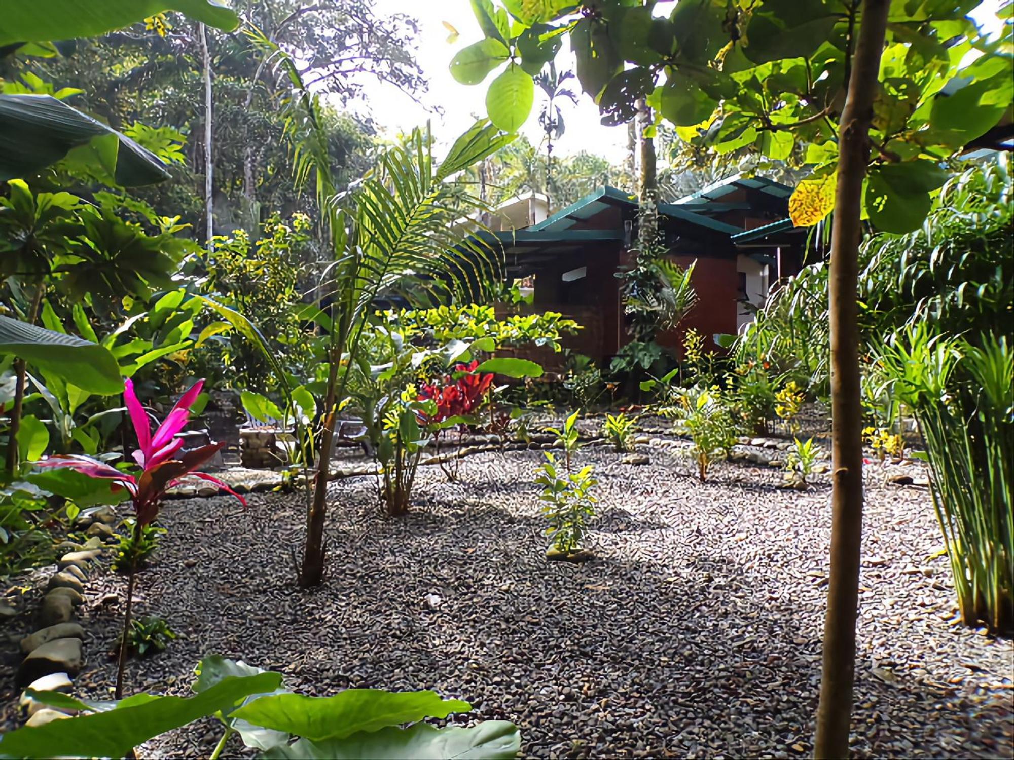 Riverside Villas Vườn quốc gia Vườn quốc gia Manuel Antonio Ngoại thất bức ảnh