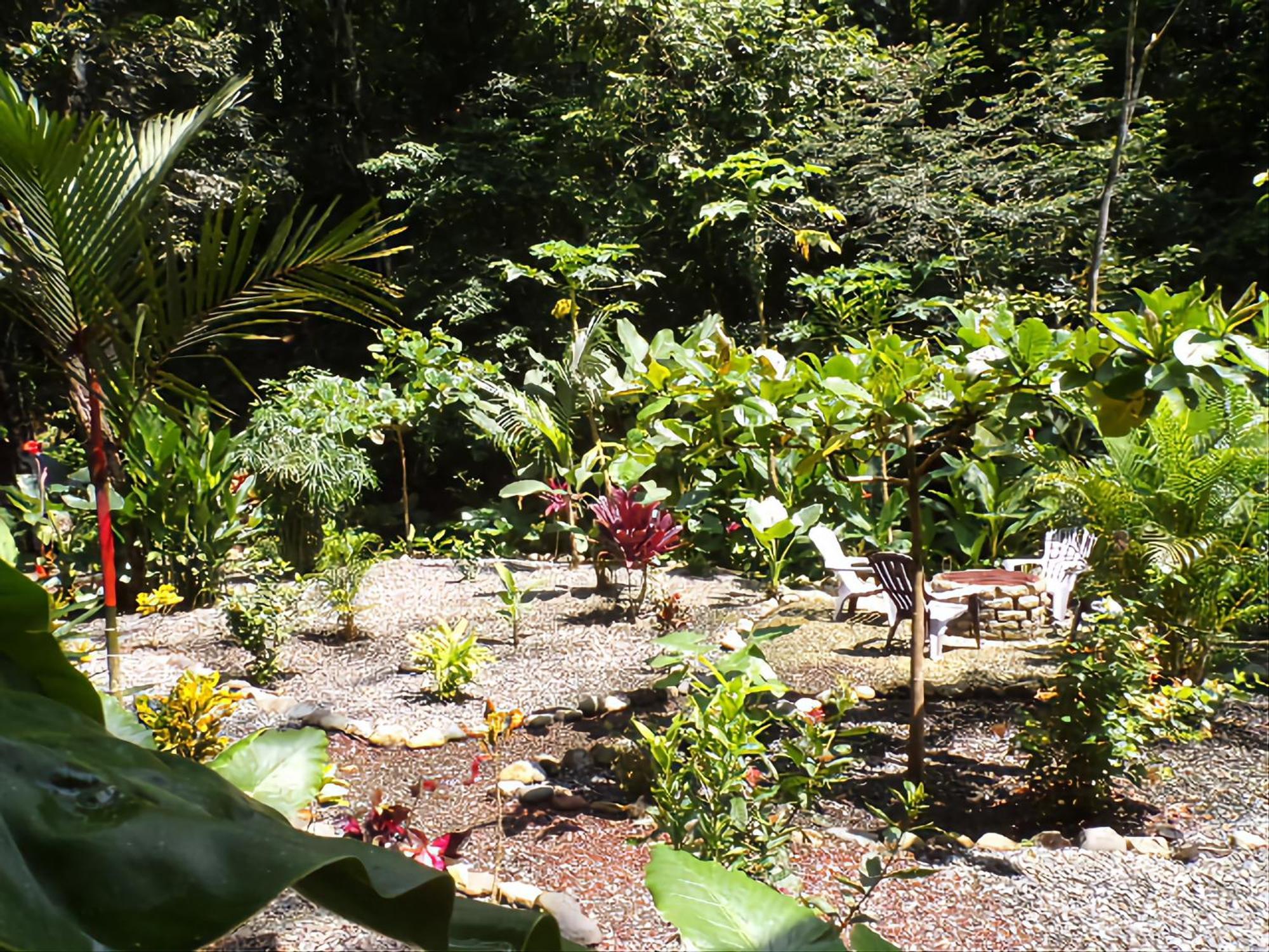 Riverside Villas Vườn quốc gia Vườn quốc gia Manuel Antonio Ngoại thất bức ảnh